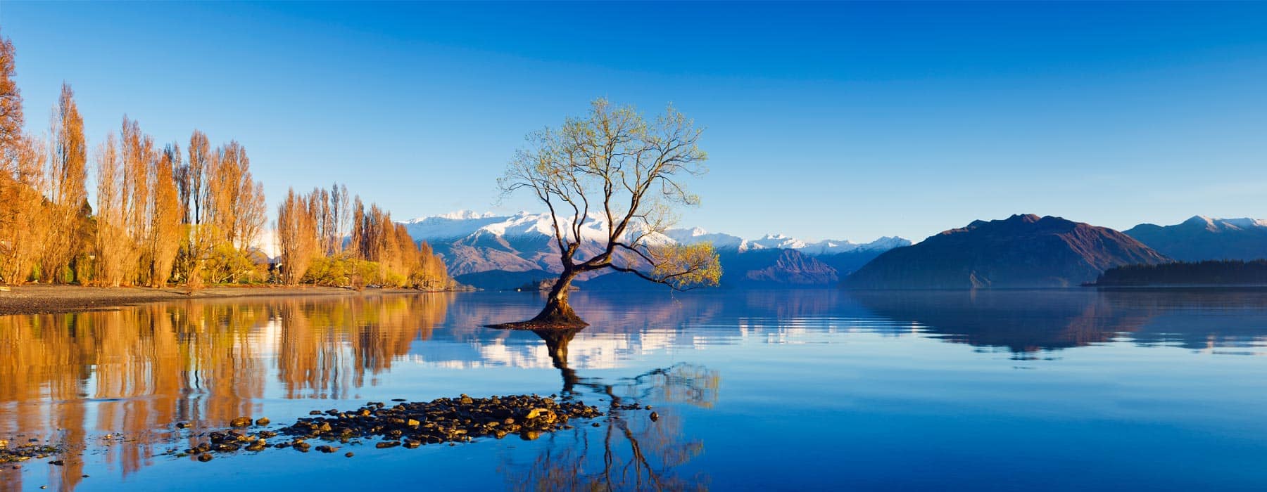 Lake District Home Removals